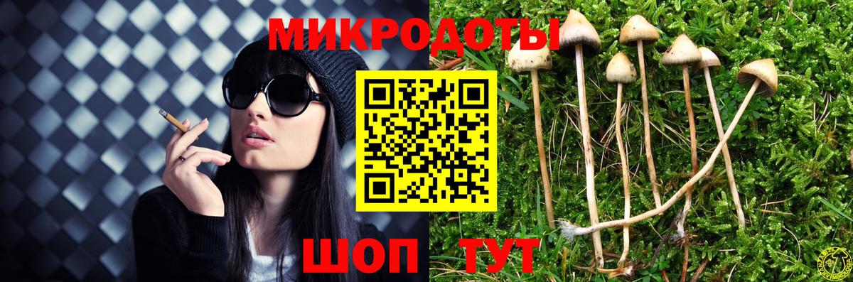 Псилоцибиновые грибы мицелий  Вход с VPN  Можайск 